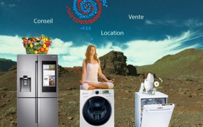Pouvoir d&rsquo;achat à La Réunion : Pourquoi réparer son électroménager coûte 2 à 3 fois moins cher que racheter neuf ?